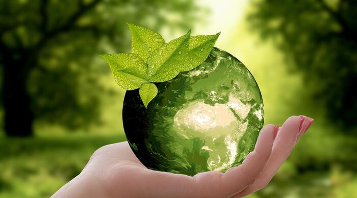 THE 5 MOST IMPORTANT REASONS WHY COMPANIES SHOULD FOCUS ON SUSTAINABILITY
